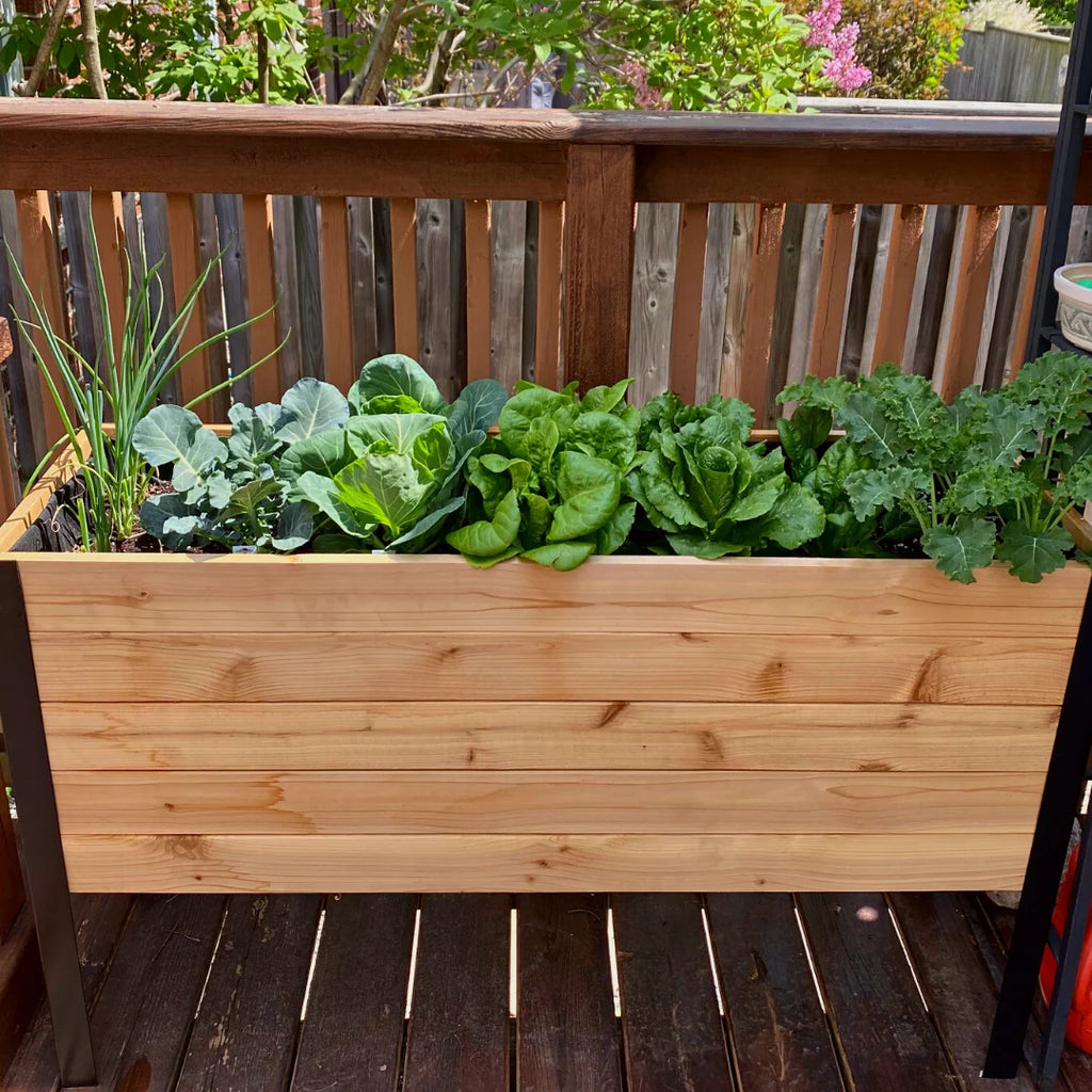Real Cedar Raised Garden Bed (18" x 48")