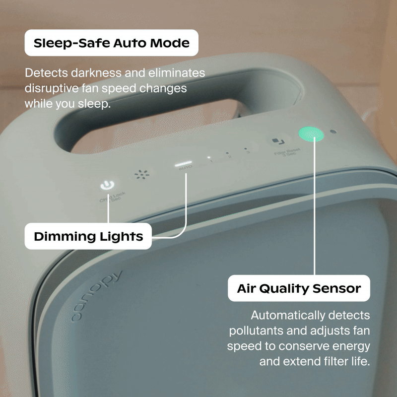 Air Purifier (Compact Smart Air Purifier with Aroma Diffuser)